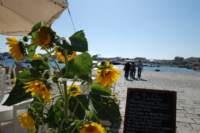 cmmanoto29settembre201950_small.jpg