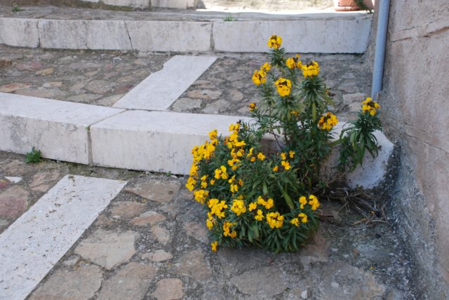 castellovescovo8.jpg