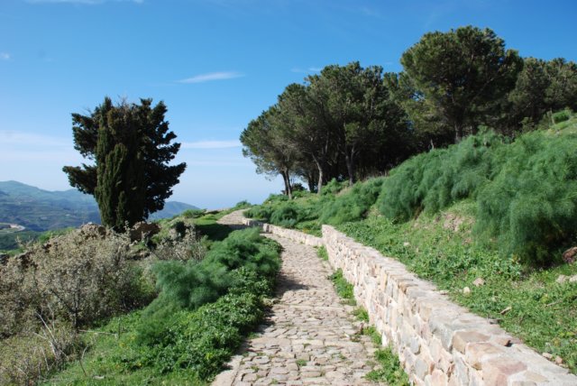 castellovescovo85.jpg